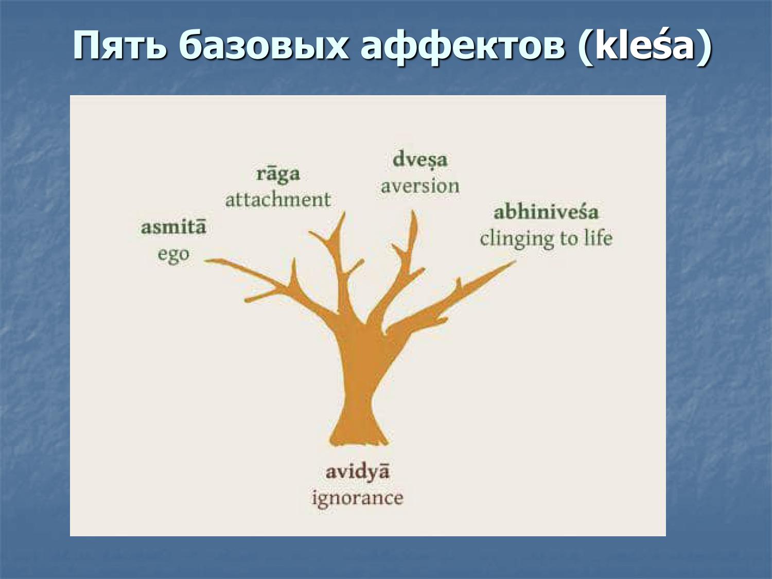 Пять базовых аффектов (клеш): авидья, асмита, рага, двеша, абхинивеша