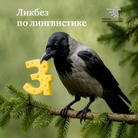 Ликбез по лингвистике 2025