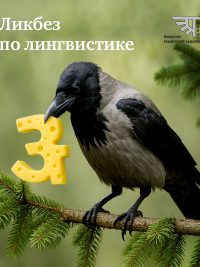 Продленка санскрита